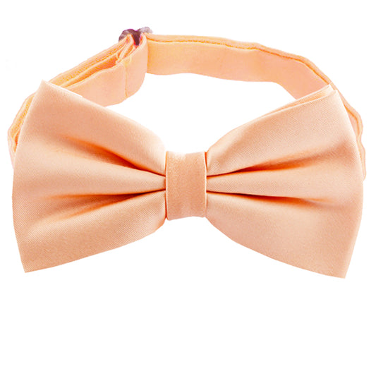 Peach Apricot Bow Tie