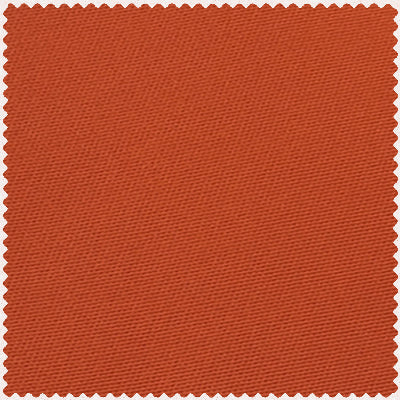 Burnt Orange Swatch