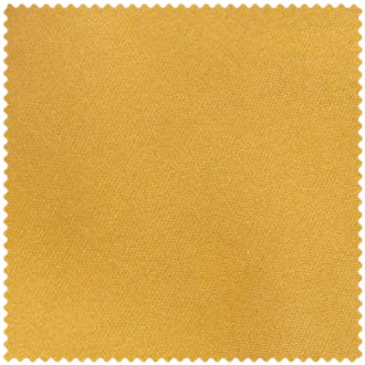 Classic Gold Swatch