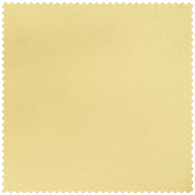 Light Gold Swatch