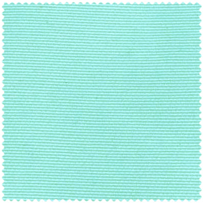 Mint Light Green Swatch