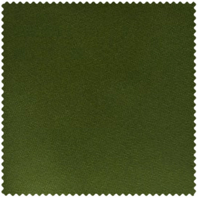 Olive Green Swatch